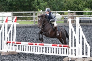 Class 3 -  Fences not above 2'3